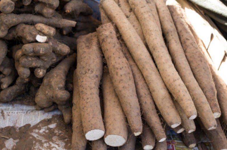 Fufu during pregnancy: cassava