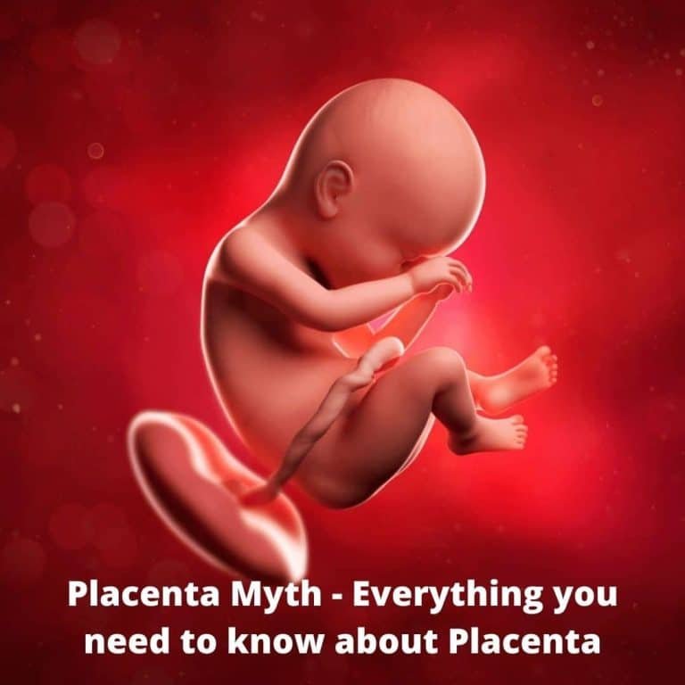 Placenta Myth