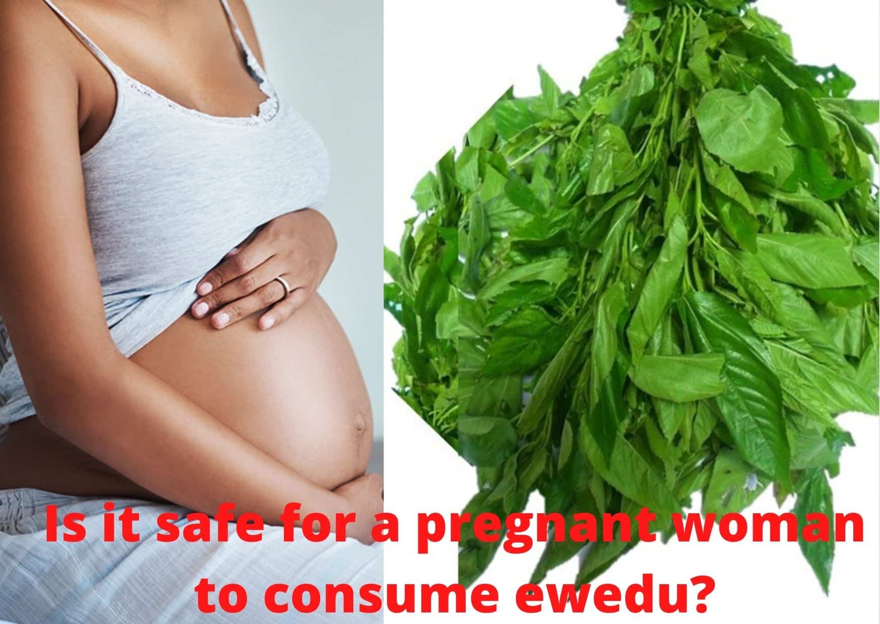 health-benefits-of-ewedu-is-it-safe-for-a-pregnant-woman-to-consume