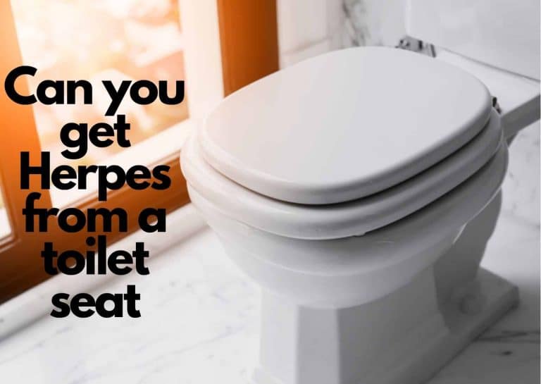 Can you get Herpes from a toilet seat - 6 Infection that can be gotten from toilet seat 1