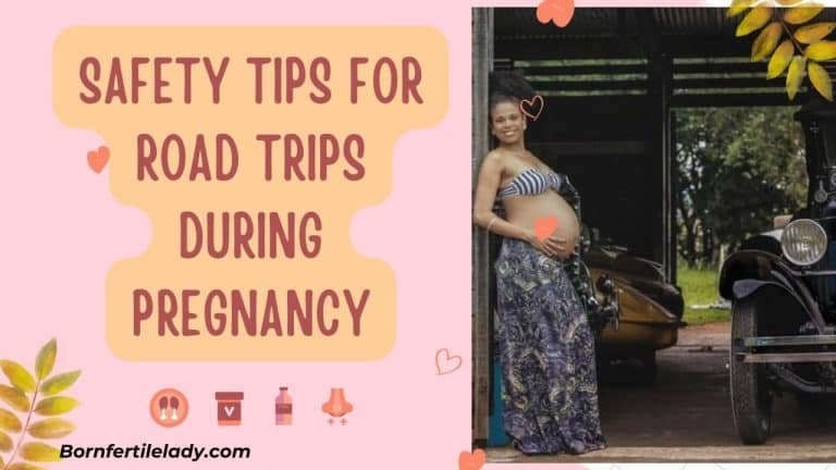 Safety Tips For Road Trips During Pregnancy 1