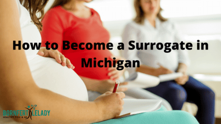 How to Become a Surrogate in Michigan - Bornfertilelady