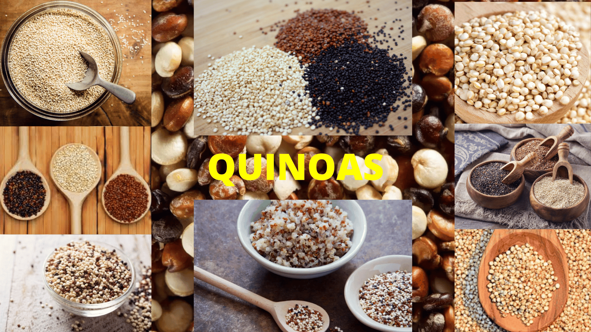 9 Scientific Benefits Of Quinoa For Pregnant Women Confirmed By A