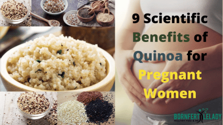 9 Scientific Benefits of Quinoa for Pregnant Women - Bornfertilelady