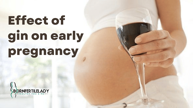 Effect of gin on early pregnancy