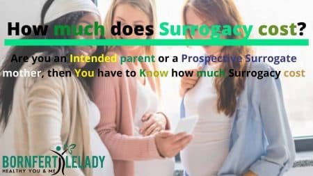 How must does surrogacy cost - Bornfertilelady