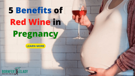 5 Benefits of Red Wine in Pregnancy - Bornfertilelady