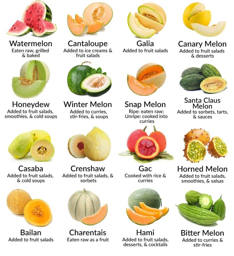 11 Health Benefits Of Melons During Pregnancy (No. 4 Is Best)