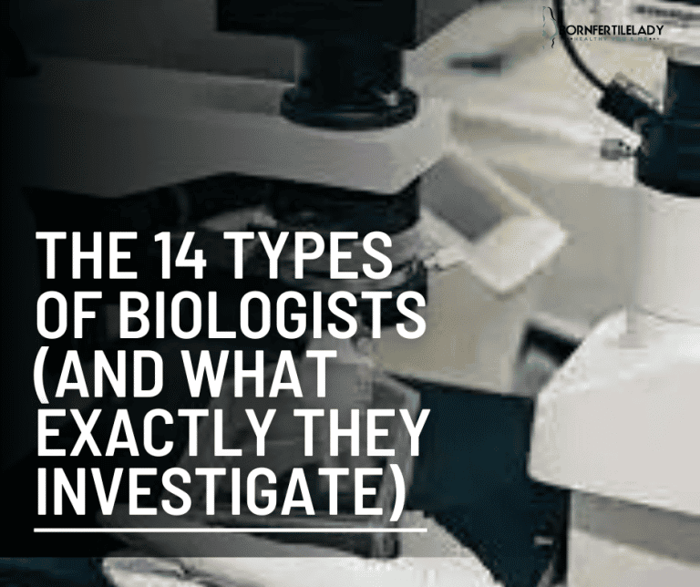The 14 types of biologists (And what exactly they investigate). 1
