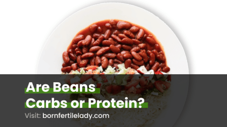 Are Beans Carbohydrate or Protein