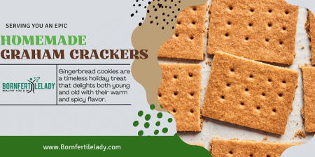 Cracking the Code | Mastering the Art of Homemade Graham Crackers ( With A Unique Recipe) 1