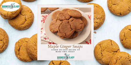 Maple Ginger Snaps - Bornfertilelady