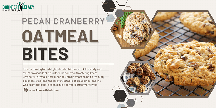 Pecan cranberry oatmeal bites