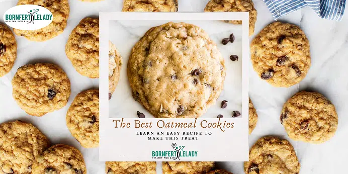 The Best Oatmeal Cookies - Bornfertilelady