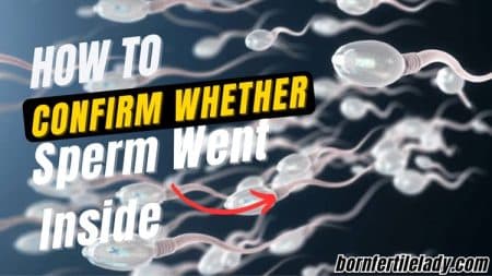 how to confirm whether sperm went inside