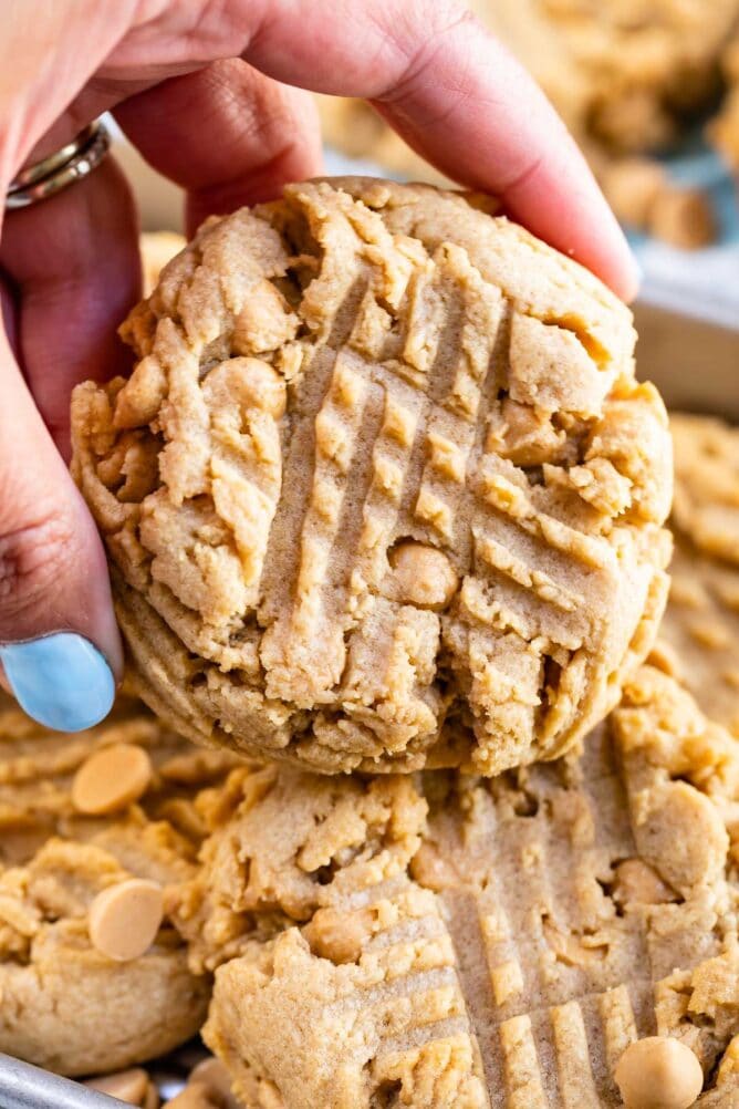 Huge Bakery Style Peanut Butter Cookies