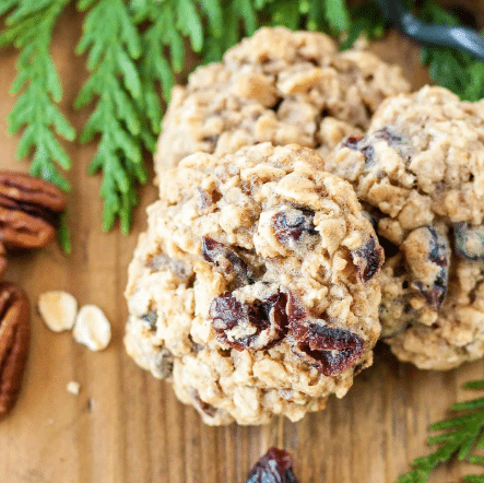 Pecan Cranberry Oatmeal Bites