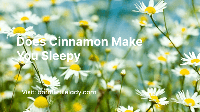 Does Cinnamon Make You Sleepy