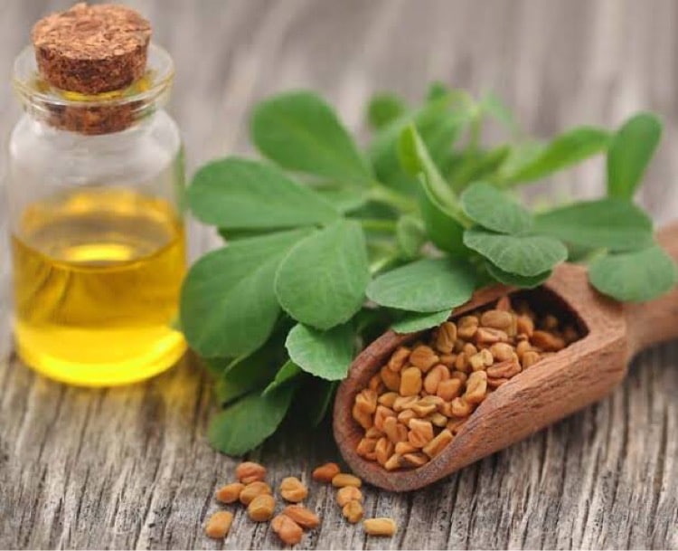 Fenugreek Oil and Seeds