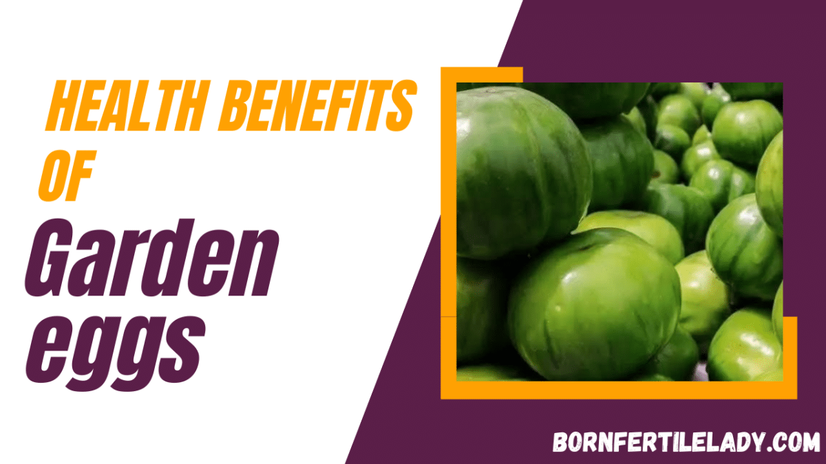 Health Benefits Of Garden Eggs Bornfertilelady