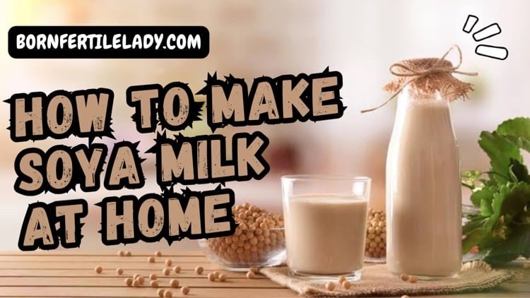 how to make soya milk at home