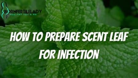 how to prepare scent leaf for infection