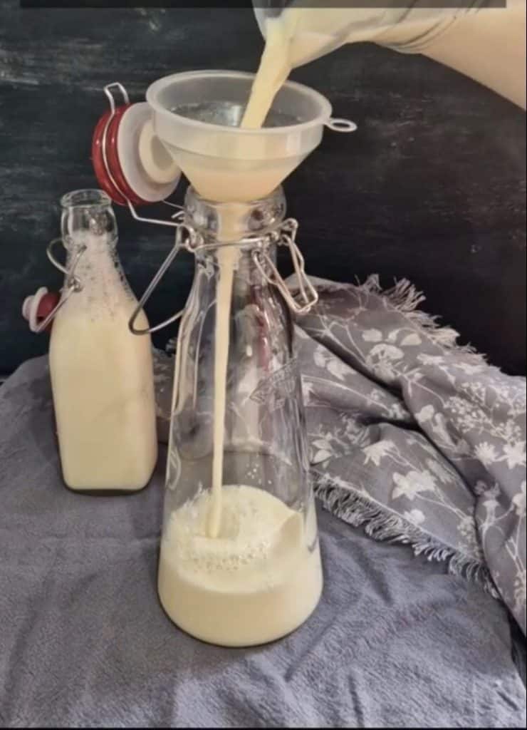 How To Make Soya Milk At Home From Scratch With Pictures