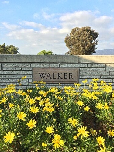 Paul Walker graveyard