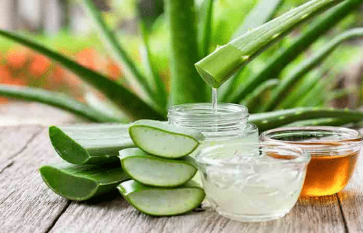 home remedies for warts: Aloe vera - Bornfertilelady