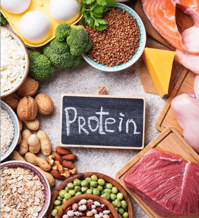 How To Get a Flat Stomach through increasing your protein intake - Bornfertilelady