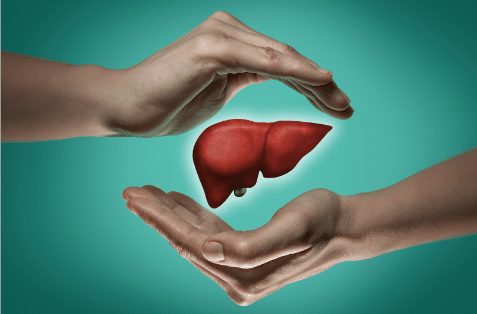 Does Matcha Detox Your Body? - Matcha detoxs your liver | Bornfertilelady.com