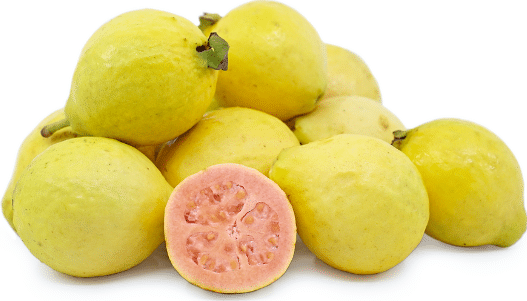 guava health benefits - white and yellow guava | Bornfertilelady.com